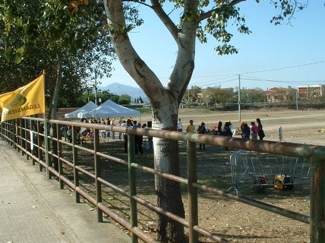 DSCF0147
